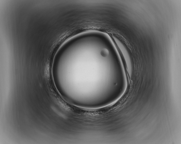 X0000108480729200904091437