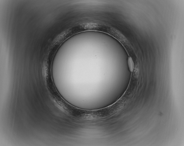 X0000108480732200904091437