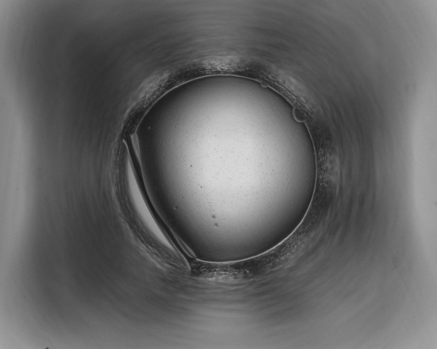 X0000108480738200904091437