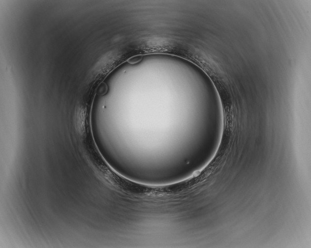X0000108480742200904091437