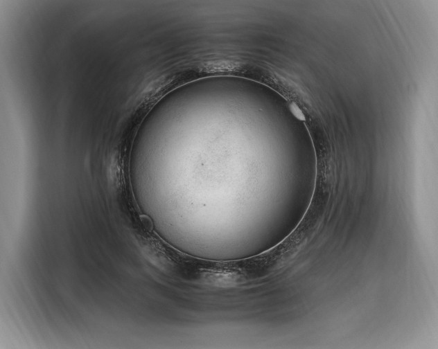 X0000108480743200904091437