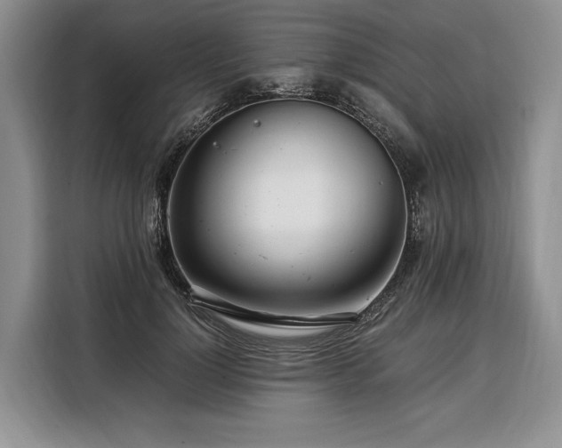 X0000108480748200904091437