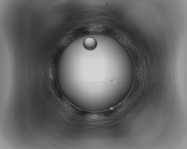 X0000108480755200904091437