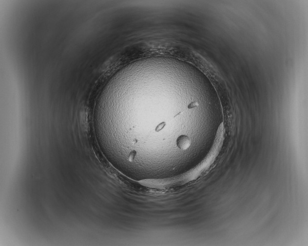 X0000108480757200904091437