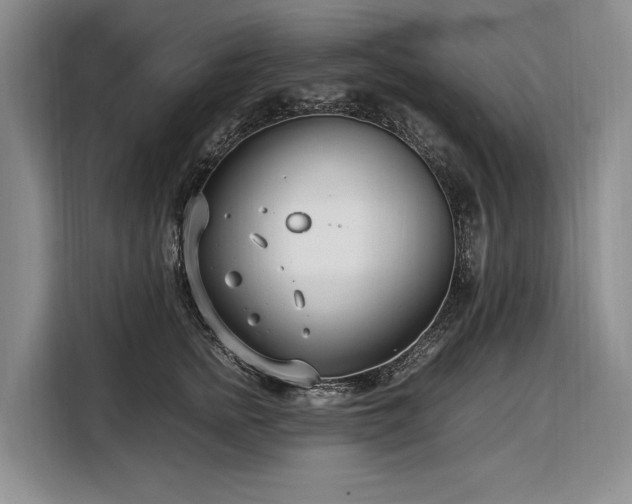 X0000108480758200904091437