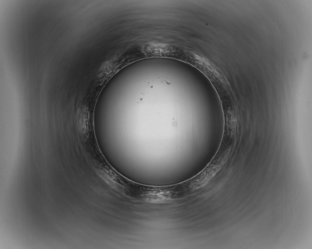 X0000108480760200904091437