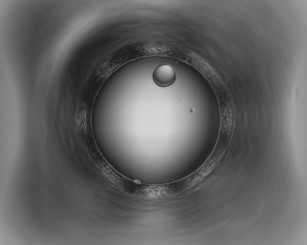 X0000108480762200904091437