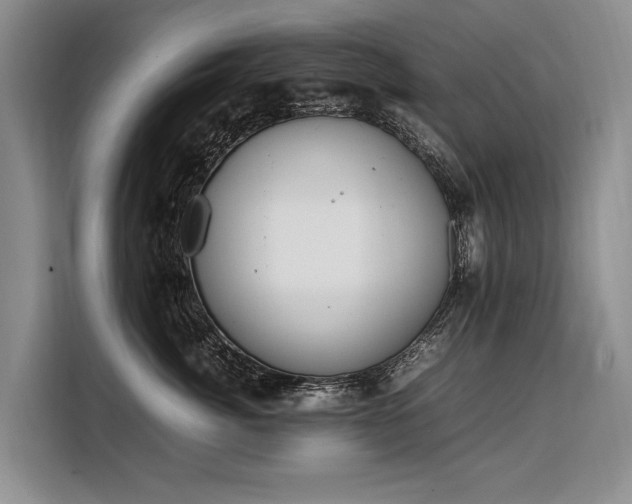 X0000108480764200904091437