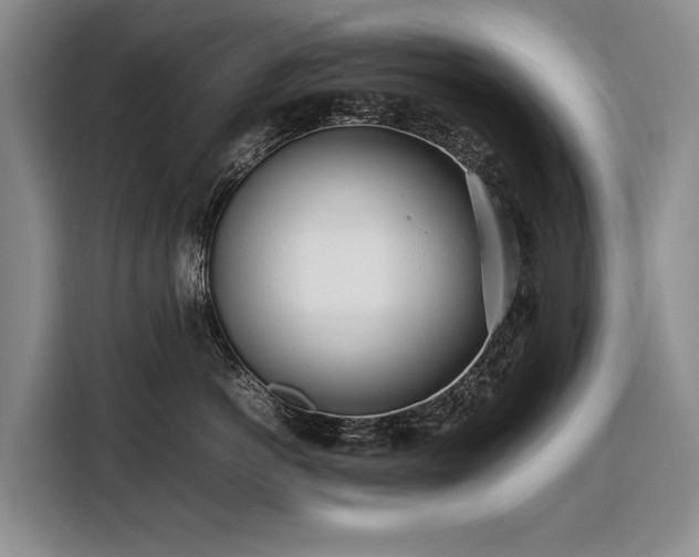X0000108480766200904091437