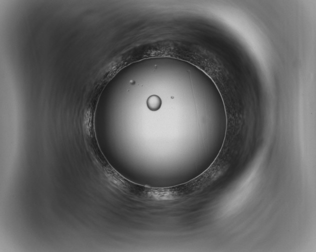 X0000108480767200904091437
