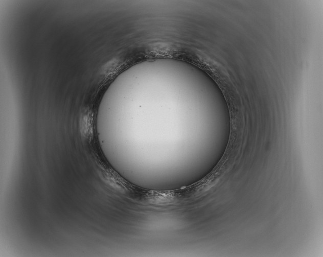 X0000108480768200904091437