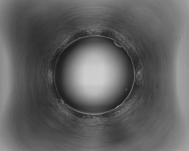 X0000108480772200904091436