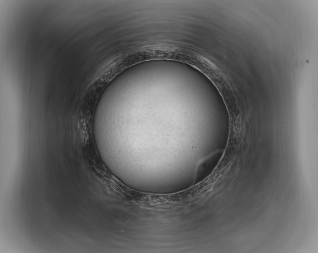X0000108480774200904091436