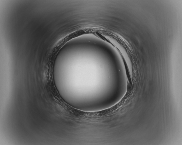 X0000108480775200904091436
