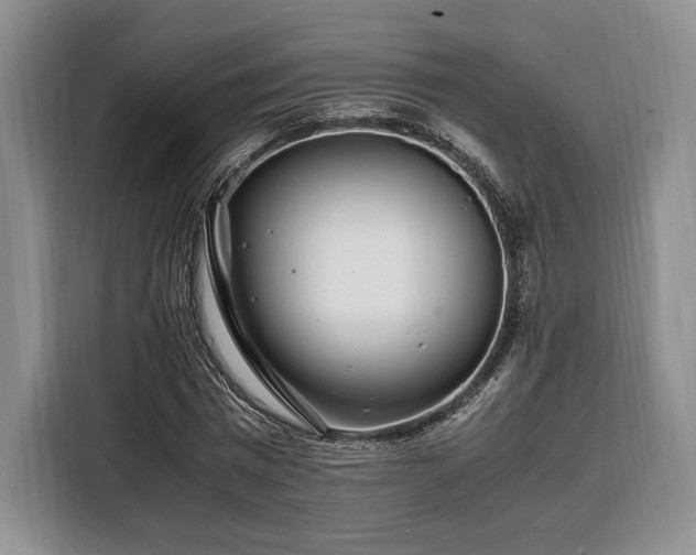 X0000108480777200904091436