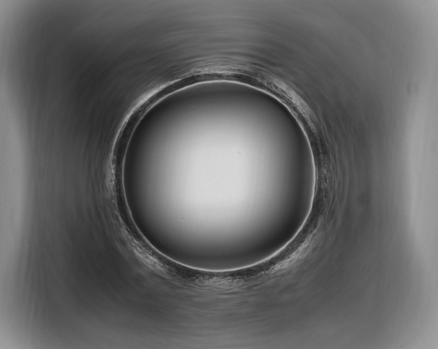 X0000108480779200904091436