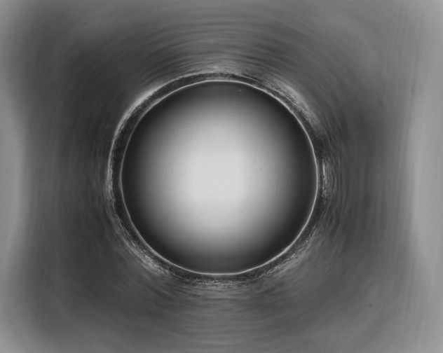 X0000108480780200904091436
