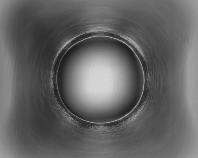 X0000108480783200904091436