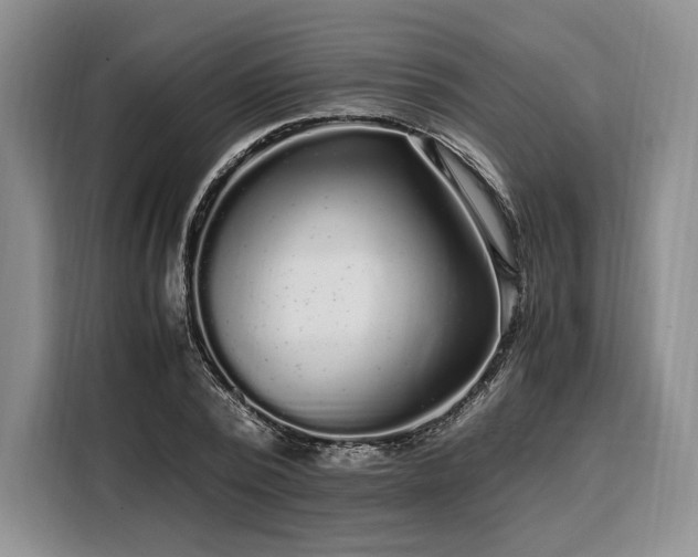 X0000108480784200904091436