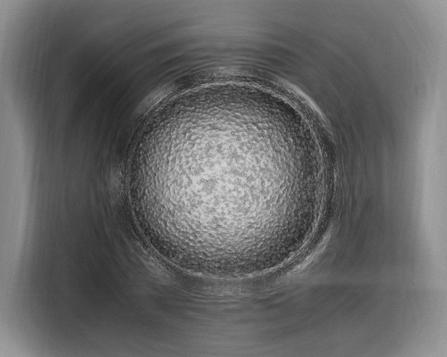 X0000108480785200904091436
