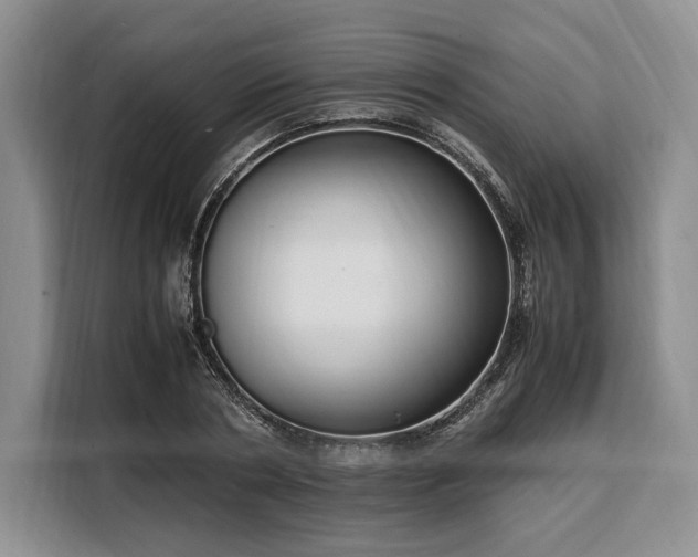 X0000108480786200904091436