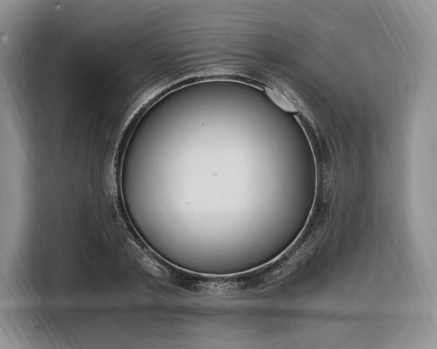 X0000108480789200904091436