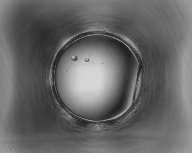 X0000108480791200904091436