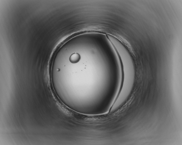 X0000108480792200904091436