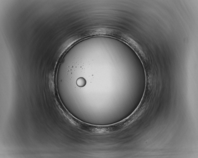 X0000108480794200904091436