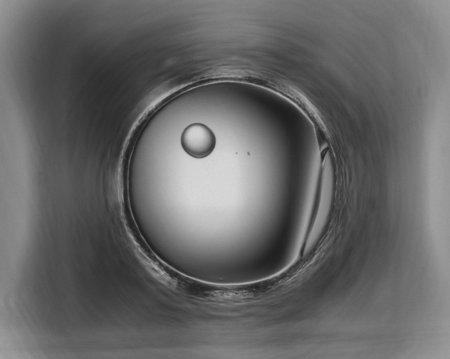 X0000108480795200904091436