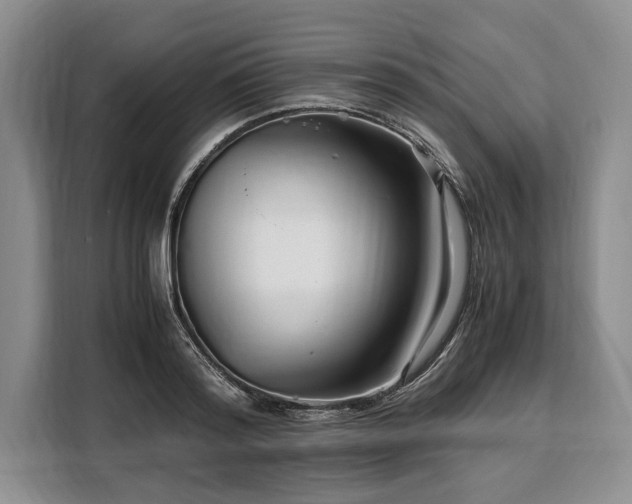 X0000108480796200904091436