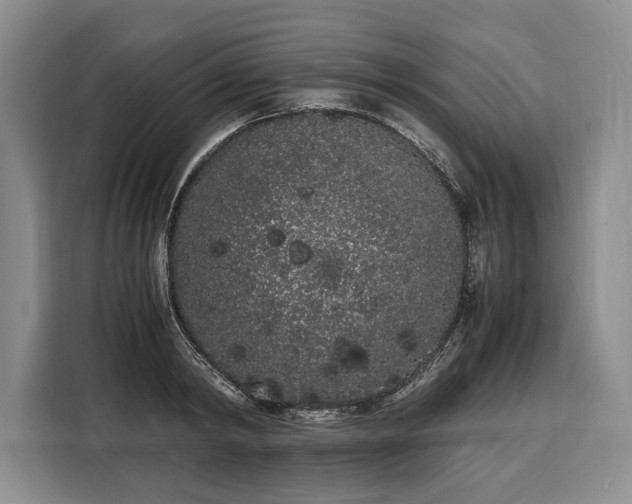 X0000108480798200904091436