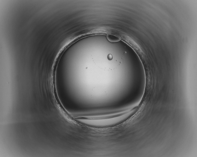 X0000108480800200904091436