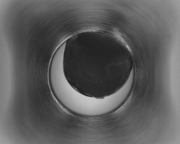 X0000108480802200904091436