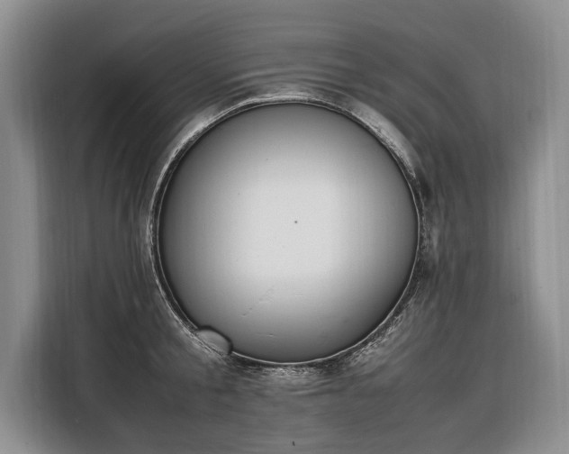 X0000108480805200904091436