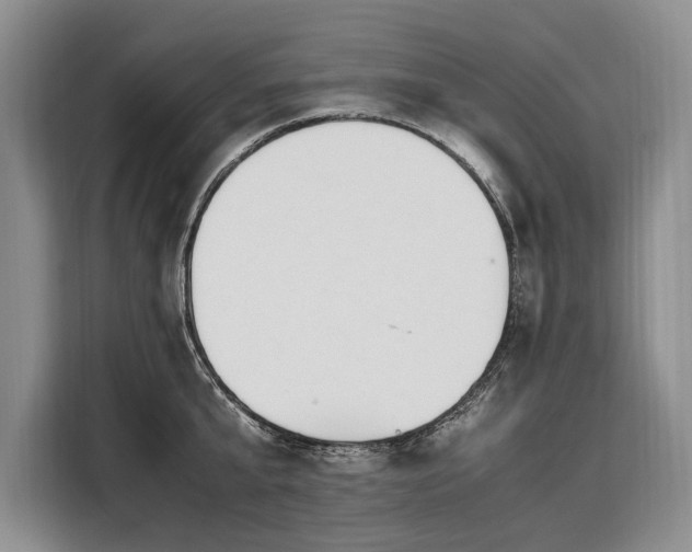 X0000108480807200904091436