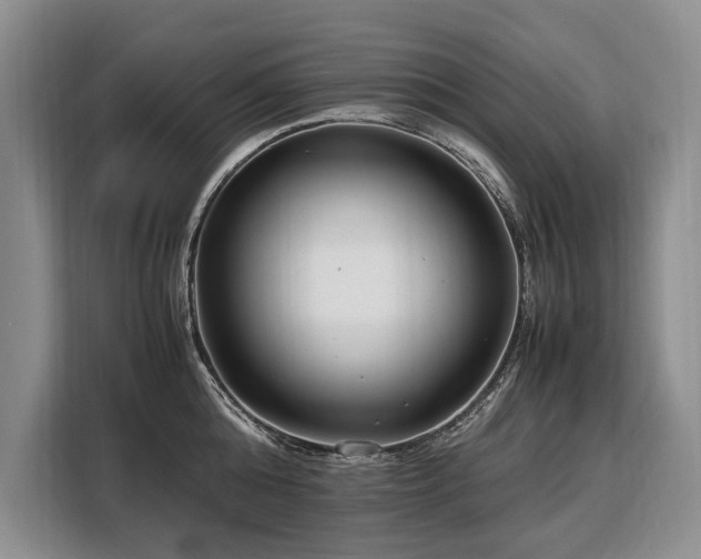 X0000108480808200904091436