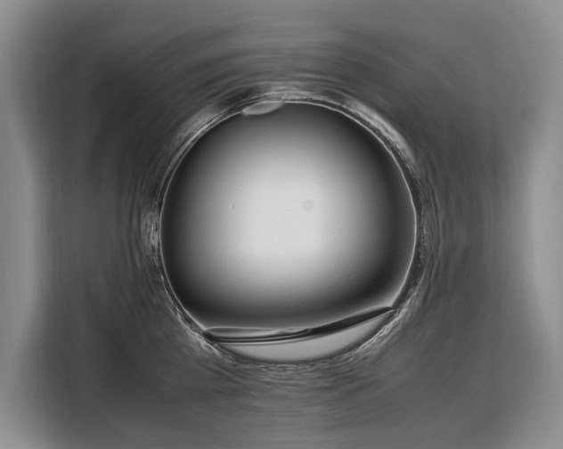 X0000108480809200904091436