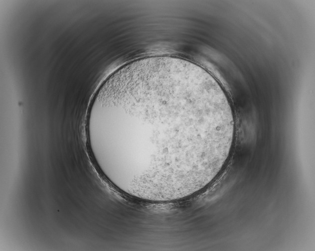 X0000108480810200904091436