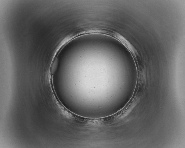 X0000108480813200904091436
