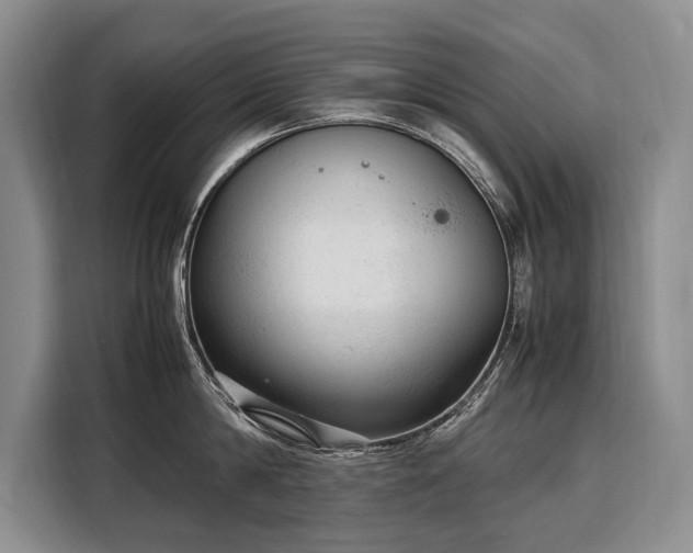 X0000108480814200904091436