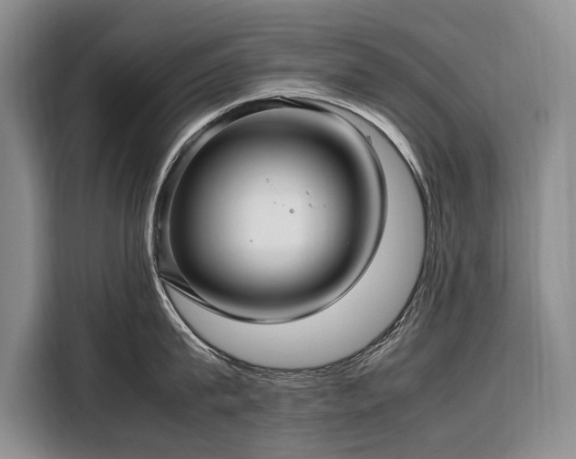 X0000108480815200904091436