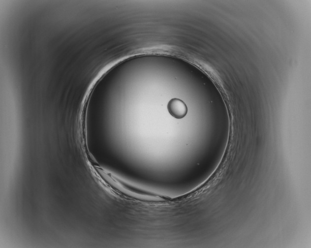 X0000108480816200904091436