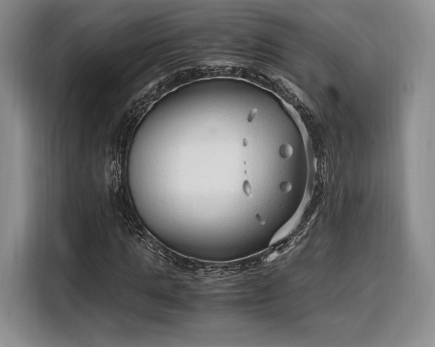 X0000108480821200904091435