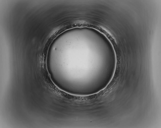 X0000108480823200904091435