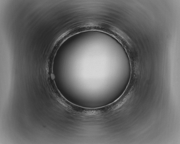 X0000108480826200904091435