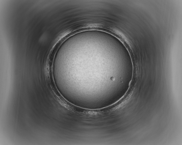 X0000108480827200904091435