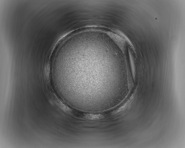 X0000108480831200904091435