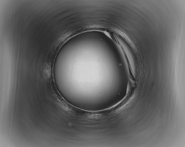 X0000108480833200904091435