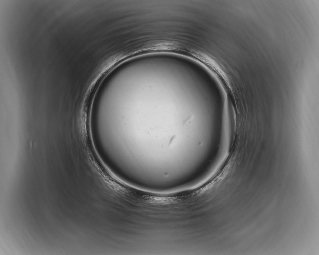 X0000108480835200904091435
